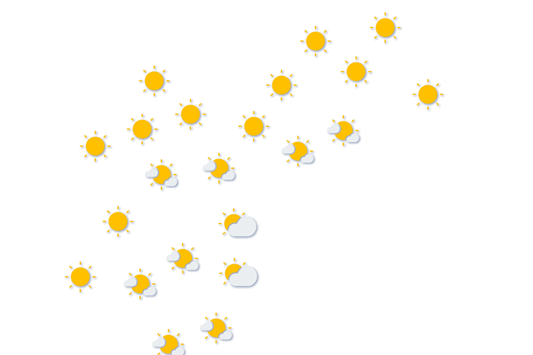 Forecast