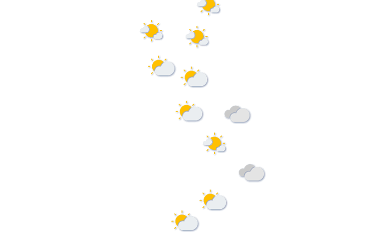 Forecast