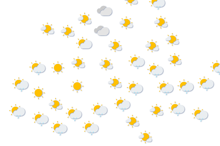 Forecast