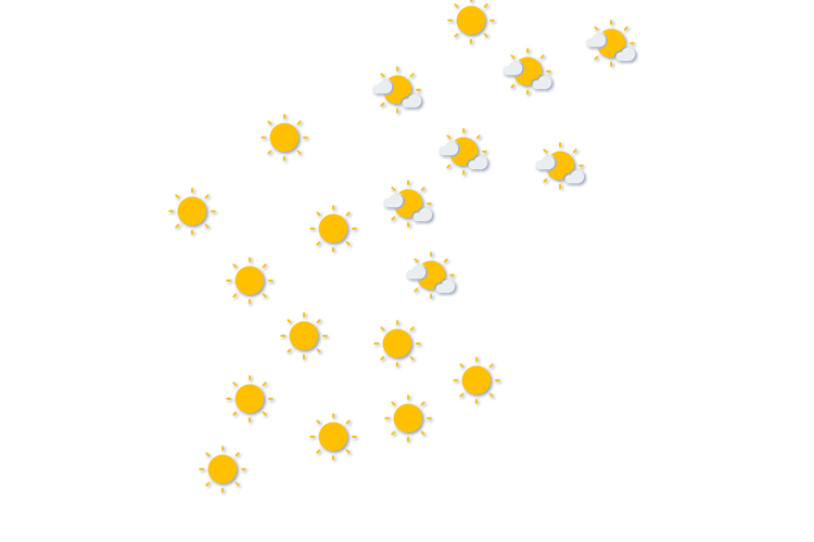 Forecast
