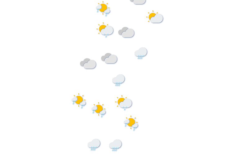 Forecast