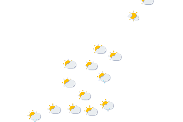 Forecast