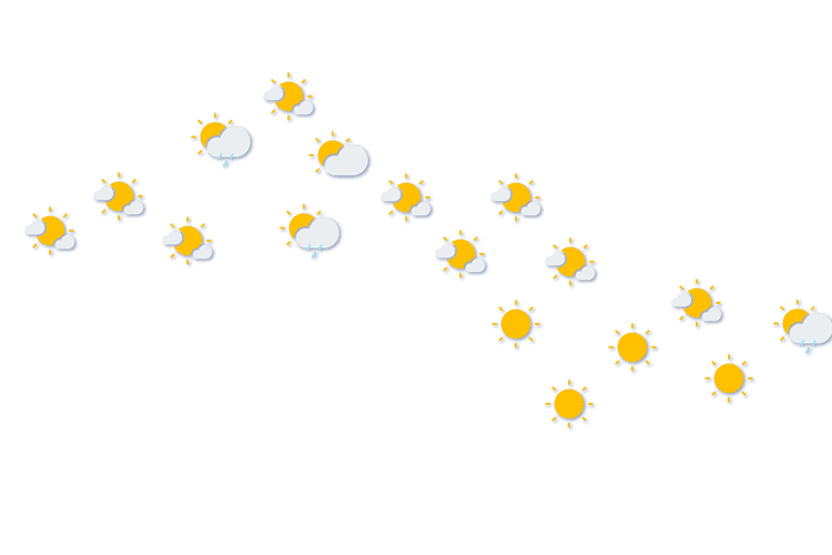 Forecast