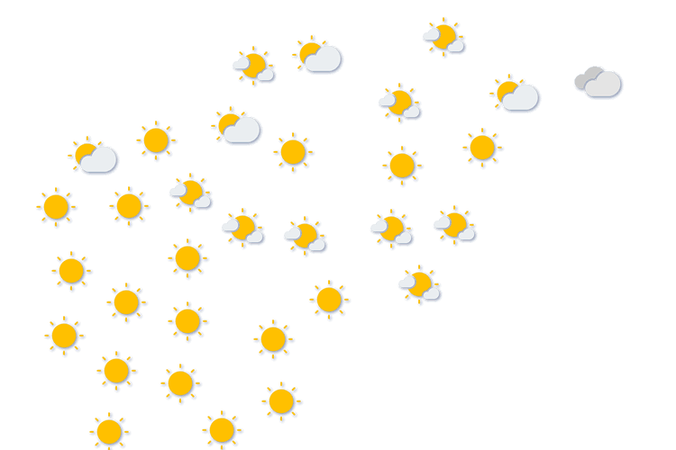 Forecast