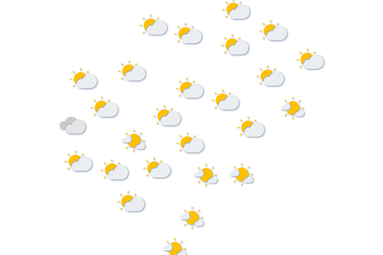 Forecast