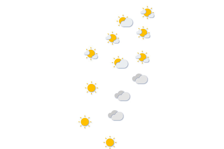 Forecast