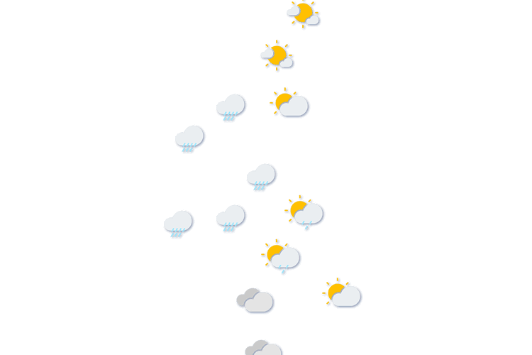 Forecast