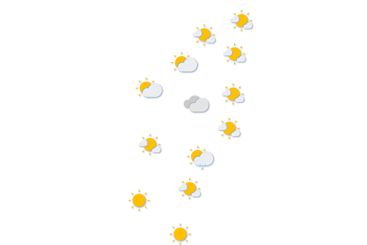Forecast