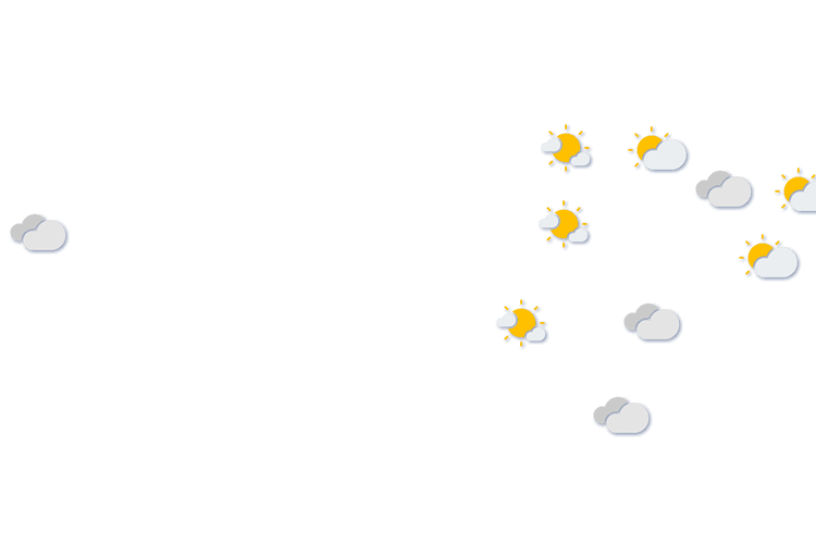 Forecast