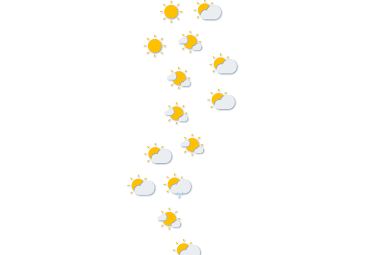 Forecast