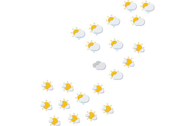 Forecast