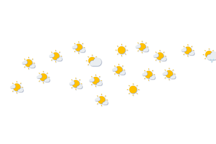 Forecast