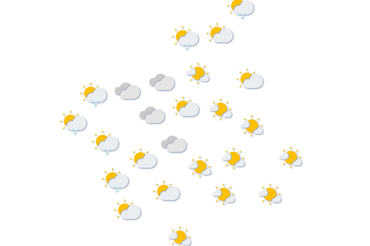 Forecast
