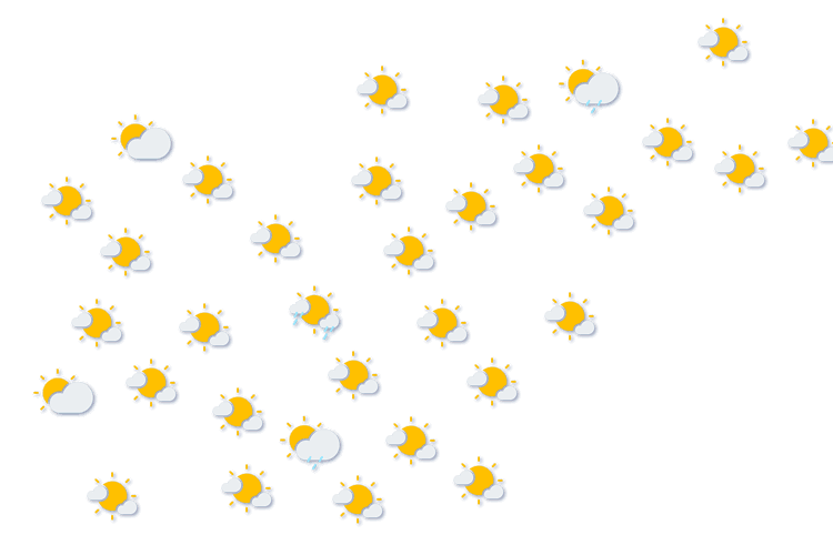 Forecast