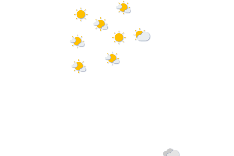 Forecast