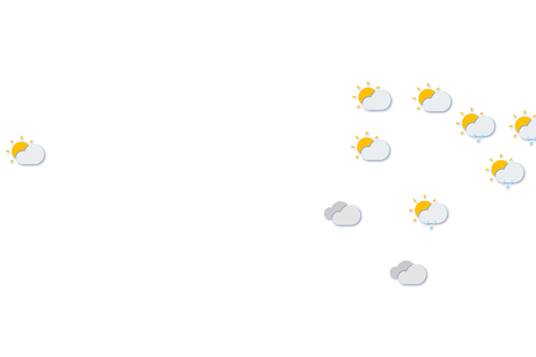 Forecast