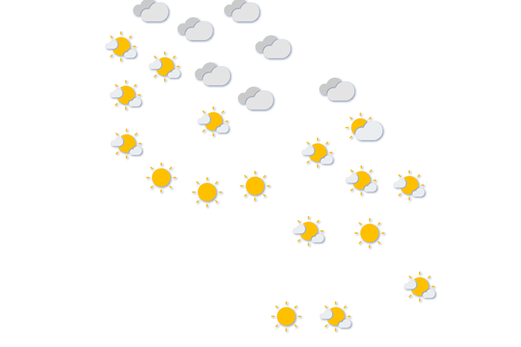 Forecast