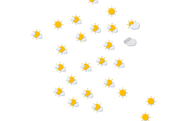 Forecast