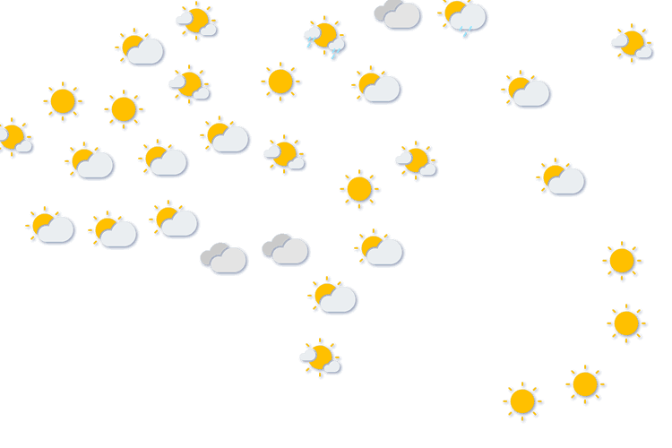 Forecast
