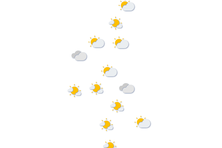 Forecast