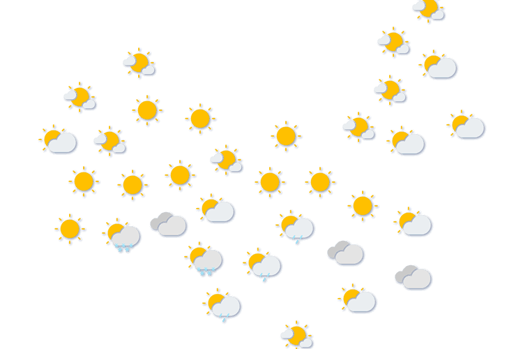 Forecast