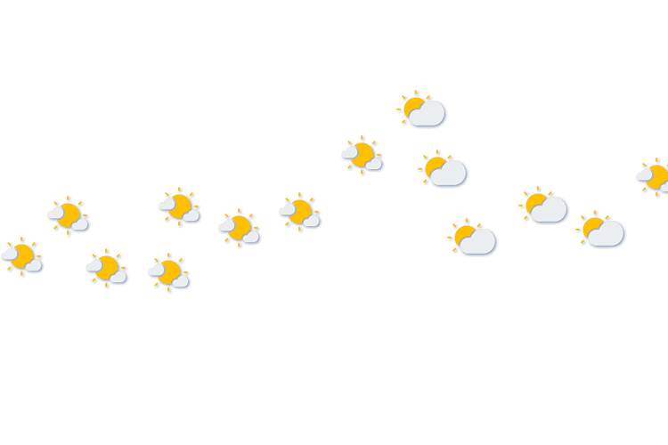 Forecast