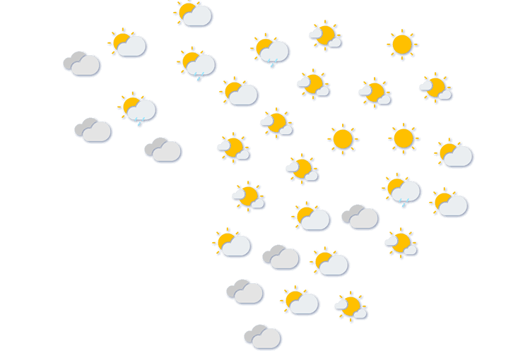 Forecast
