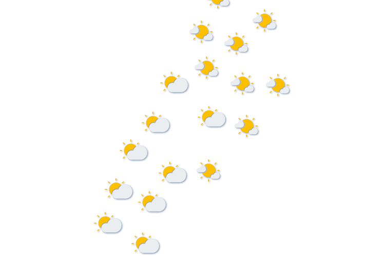 Forecast