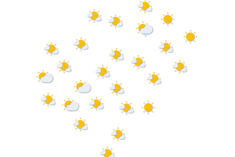 Forecast