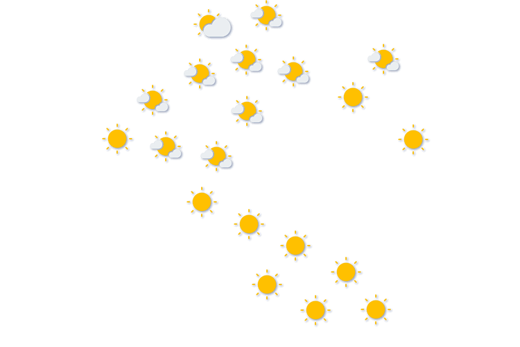 Forecast