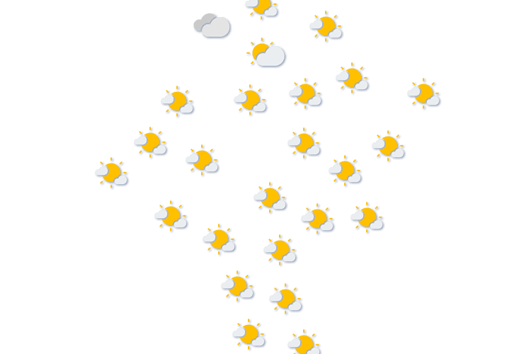 Forecast