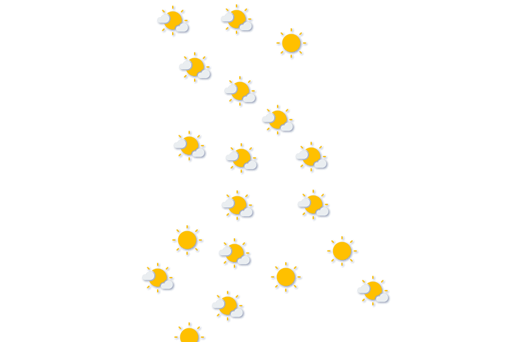 Forecast