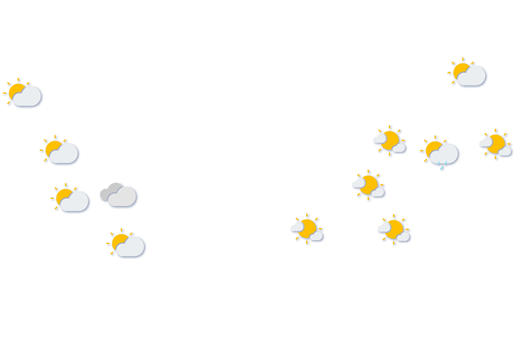 Forecast