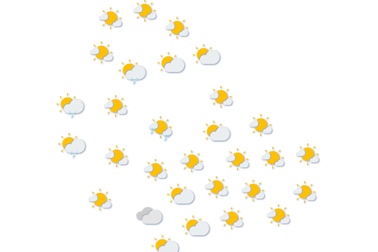 Forecast