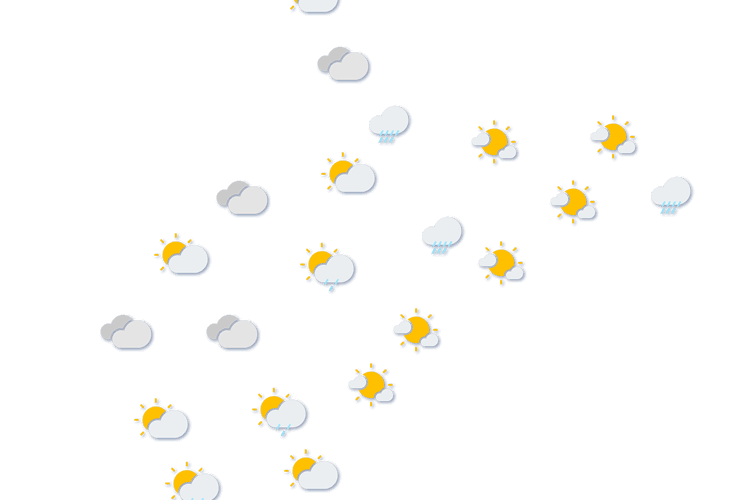 Forecast