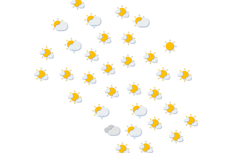 Forecast