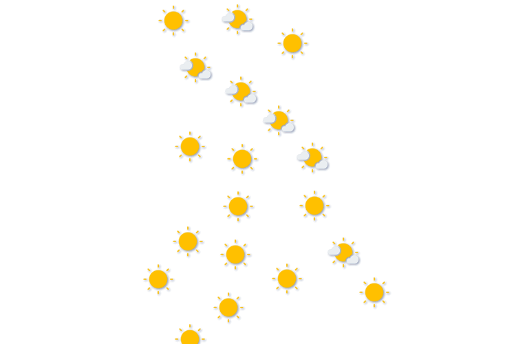 Forecast