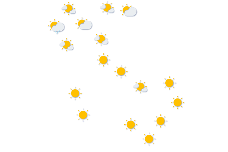 Forecast