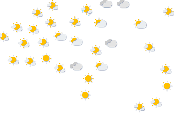 Forecast