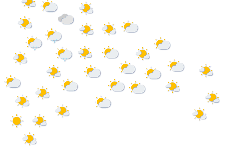 Forecast