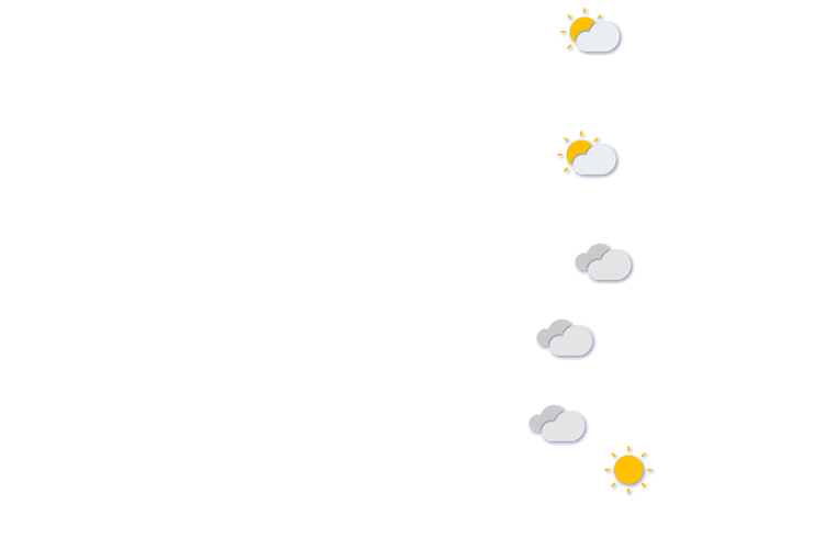 Forecast