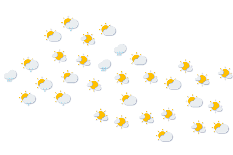 Forecast