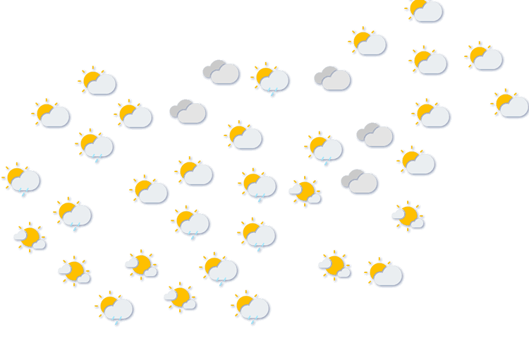 Forecast