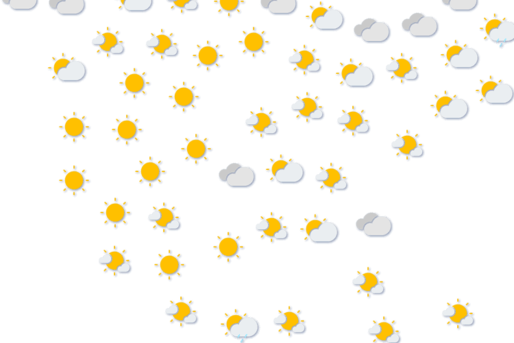 Forecast