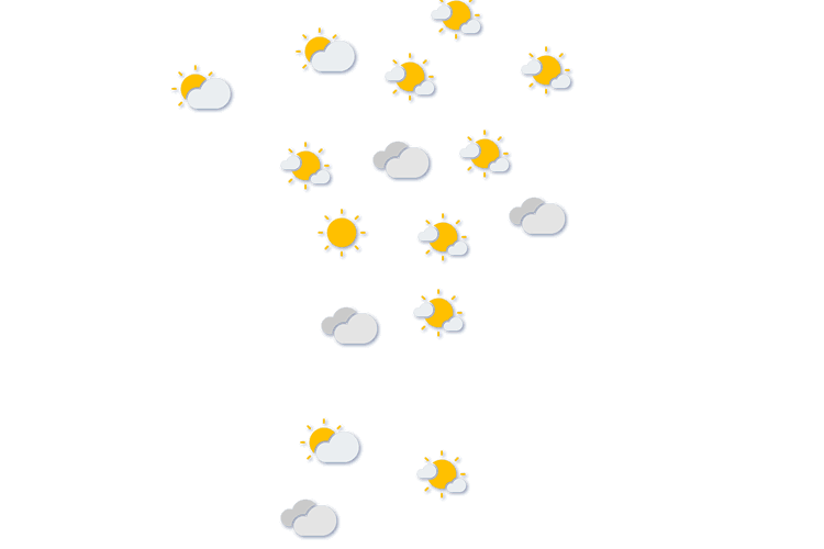 Forecast