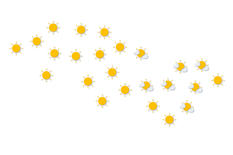 Forecast