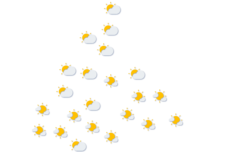 Forecast