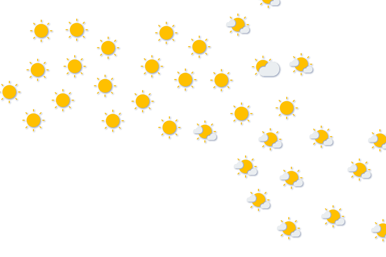 Forecast