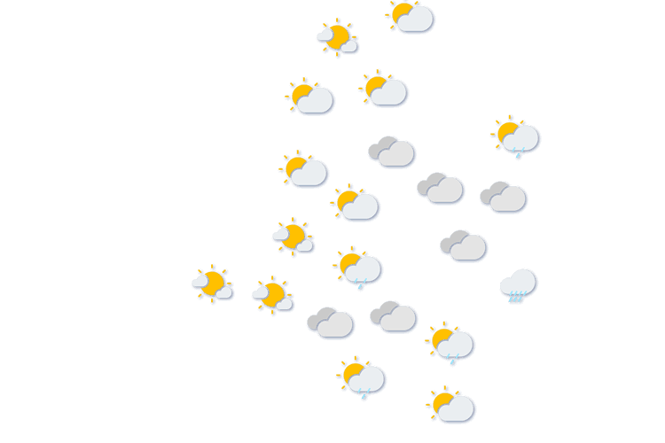 Forecast