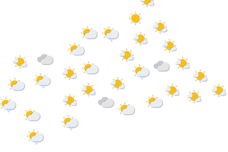 Forecast